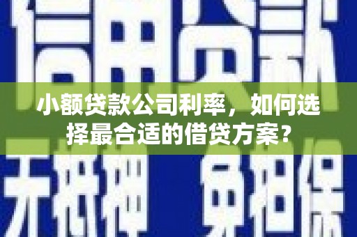 高雄小额贷款公司利率，如何选择最合适的借贷方案？